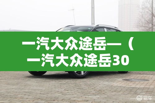 一汽大众途岳—(一汽大众途岳300) 一汽大众途岳—(一汽大众途岳300)