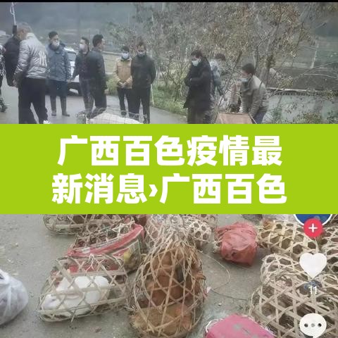 广西百色疫情最新消息›广西百色新冠肺炎最新消息