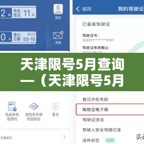 天津限号5月查询—(天津限号5月查询时间)