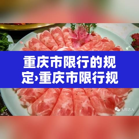 重庆市限行的规定›重庆市限行规定2026年 重庆市限行的规定›重庆市限行规定2026年