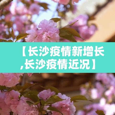 【长沙疫情新增长,长沙疫情近况】