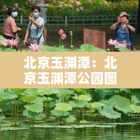 北京玉渊潭:北京玉渊潭公园图片 北京玉渊潭:北京玉渊潭公园图片