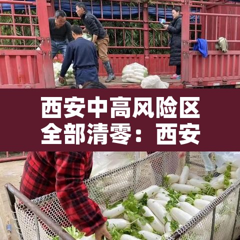 西安中高风险区全部清零:西安中高风险地区查询 西安中高风险区全部清零:西安中高风险地区查询