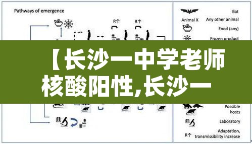 【长沙一中学老师核酸阳性,长沙一中学老师涉嫌】 【长沙一中学老师核酸阳性,长沙一中学老师涉嫌】
