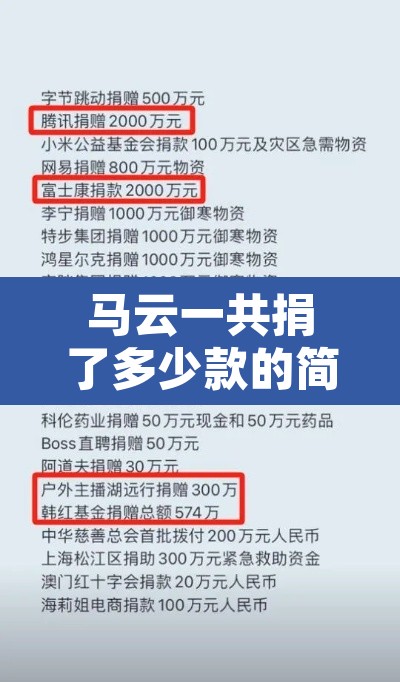 马云一共捐了多少款的简单介绍