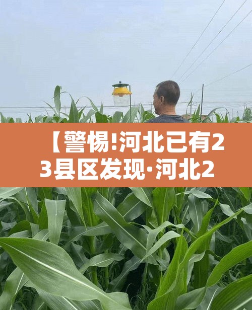 【警惕!河北已有23县区发现·河北20个村】 【警惕!河北已有23县区发现·河北20个村】
