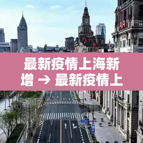 最新疫情上海新增 → 最新疫情上海新增情况 最新疫情上海新增 → 最新疫情上海新增情况