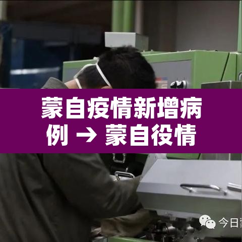 蒙自疫情新增病例 → 蒙自役情