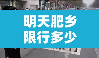明天肥乡限行多少号车牌:今天肥乡区限车号吗 明天肥乡限行多少号车牌:今天肥乡区限车号吗