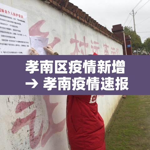 孝南区疫情新增 → 孝南疫情速报
