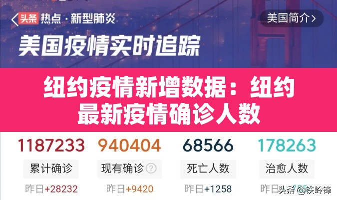 纽约疫情新增数据:纽约最新疫情确诊人数 纽约疫情新增数据:纽约最新疫情确诊人数