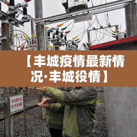 【丰城疫情最新情况·丰城役情】