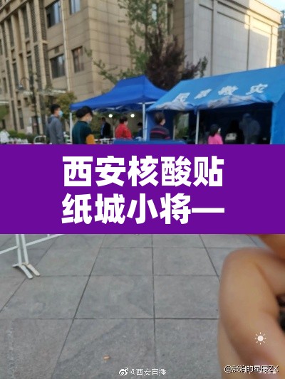 西安核酸贴纸城小将—(西安核酸检测小程序) 西安核酸贴纸城小将—(西安核酸检测小程序)