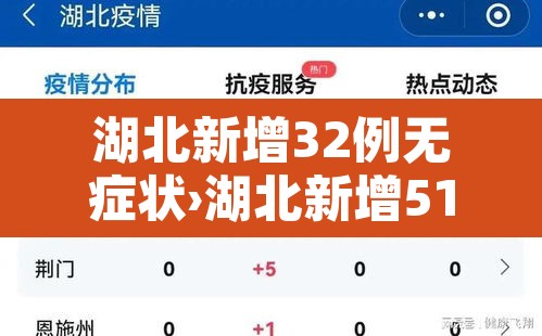 湖北新增32例无症状›湖北新增51例无症状