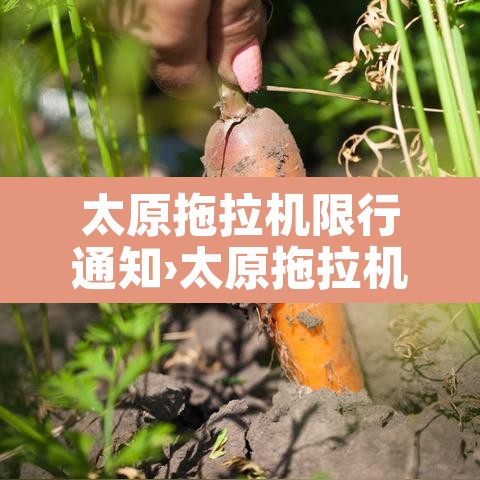 太原拖拉机限行通知›太原拖拉机配件销售 太原拖拉机限行通知›太原拖拉机配件销售