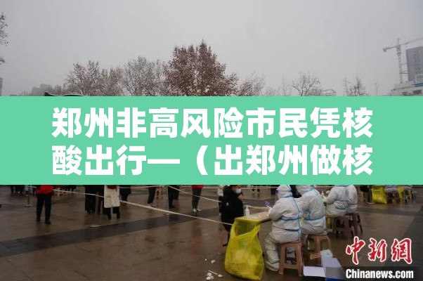 郑州非高风险市民凭核酸出行—（出郑州做核酸检测）
