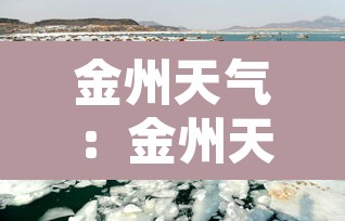 金州天气:金州天气云图实况 金州天气:金州天气云图实况