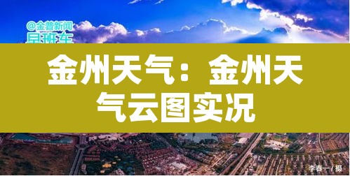 金州天气：金州天气云图实况