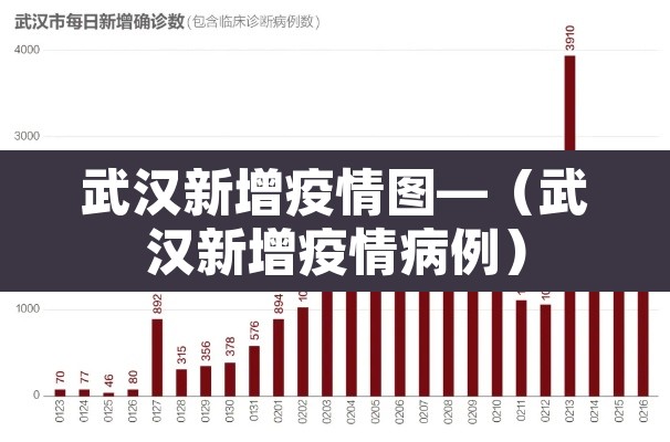 武汉新增疫情图—(武汉新增疫情病例)