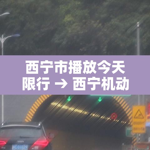 西宁市播放今天限行 → 西宁机动车限行