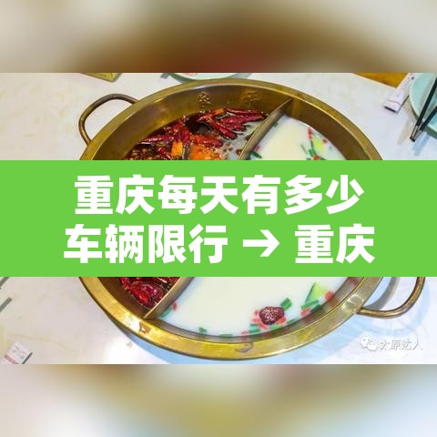 重庆每天有多少车辆限行 → 重庆限行是一天都不能开吗