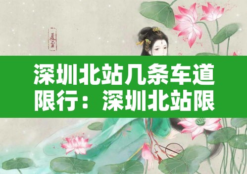 深圳北站几条车道限行:深圳北站限行时间查询 深圳北站几条车道限行:深圳北站限行时间查询