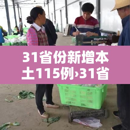 31省份新增本土115例›31省区市新增本土病例115例