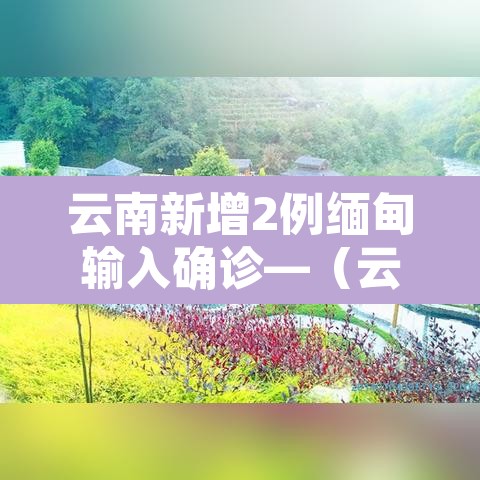 云南新增2例缅甸输入确诊—(云南新增2例缅甸输入确诊 视频) 云南新增2例缅甸输入确诊—(云南新增2例缅甸输入确诊 视频)