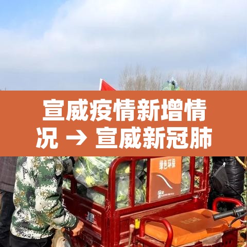宣威疫情新增情况 → 宣威新冠肺炎最新消息