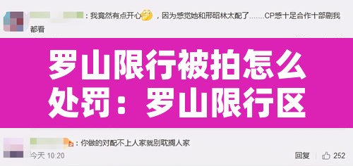 罗山限行被拍怎么处罚:罗山限行区域图 罗山限行被拍怎么处罚:罗山限行区域图