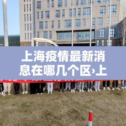 上海疫情最新消息在哪几个区›上海疫情区域分布图