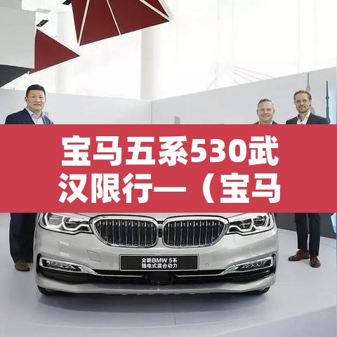 宝马五系530武汉限行—(宝马5系新能源限号吗)