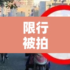 限行被拍怎么处罚濮阳:濮阳限行拍照后几小时内再处罚 限行被拍怎么处罚濮阳:濮阳限行拍照后几小时内再处罚