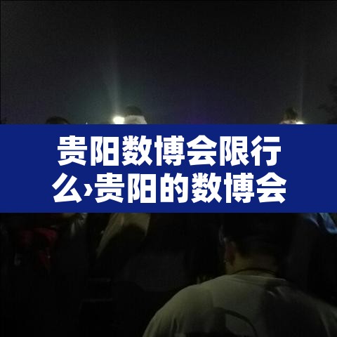 贵阳数博会限行么›贵阳的数博会放假吗