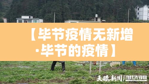 【毕节疫情无新增·毕节的疫情】 【毕节疫情无新增·毕节的疫情】