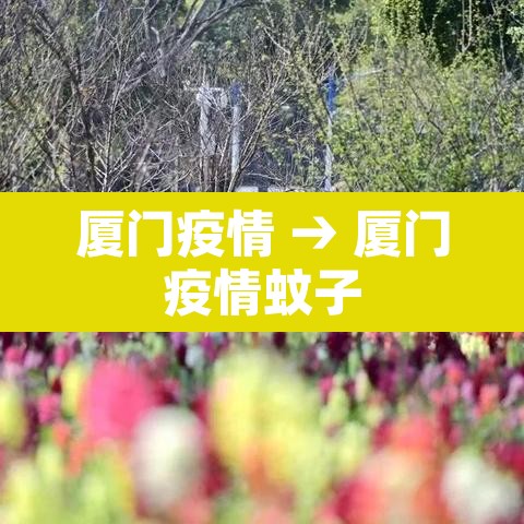 厦门疫情 → 厦门疫情蚊子 厦门疫情 → 厦门疫情蚊子