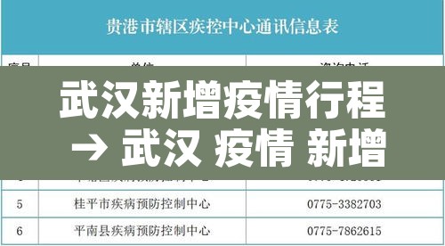 武汉新增疫情行程 → 武汉 疫情 新增
