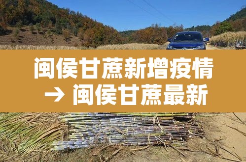 闽侯甘蔗新增疫情 → 闽侯甘蔗最新新闻 闽侯甘蔗新增疫情 → 闽侯甘蔗最新新闻