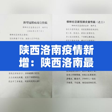 陕西洛南疫情新增:陕西洛南最新消息