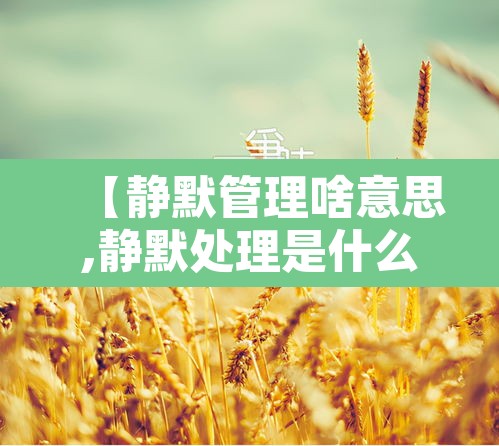 【静默管理啥意思,静默处理是什么意思】