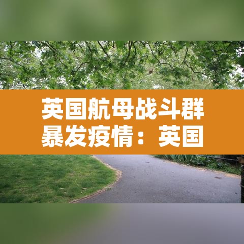 英国航母战斗群暴发疫情：英国航母战斗群到哪了