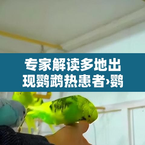 专家解读多地出现鹦鹉热患者›鹦鹉热临床表现