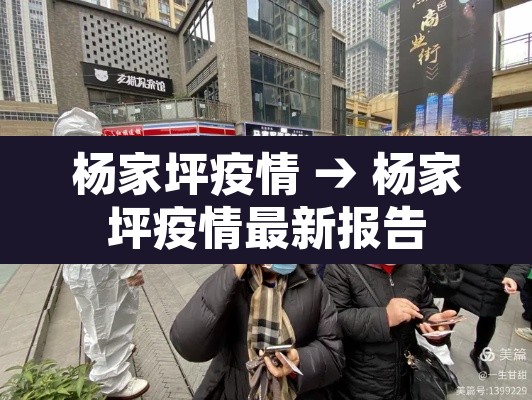 杨家坪疫情 → 杨家坪疫情最新报告