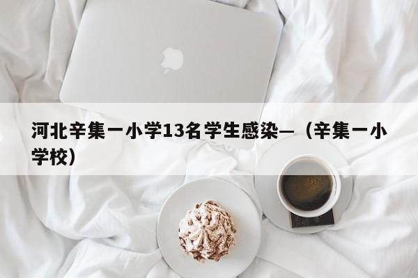 河北辛集一小学13名学生感染—（辛集一小学校）
