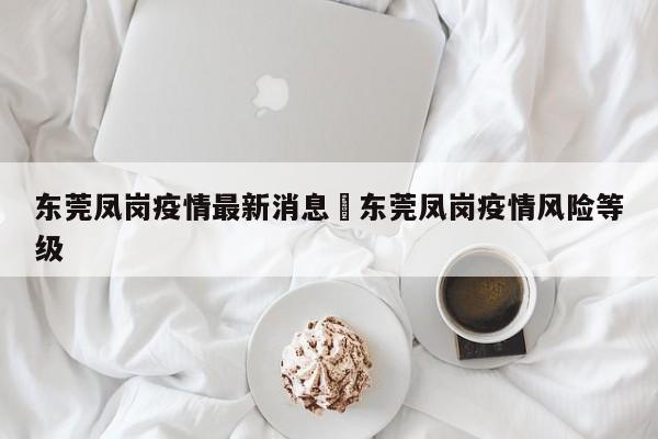 东莞凤岗疫情最新消息›东莞凤岗疫情风险等级