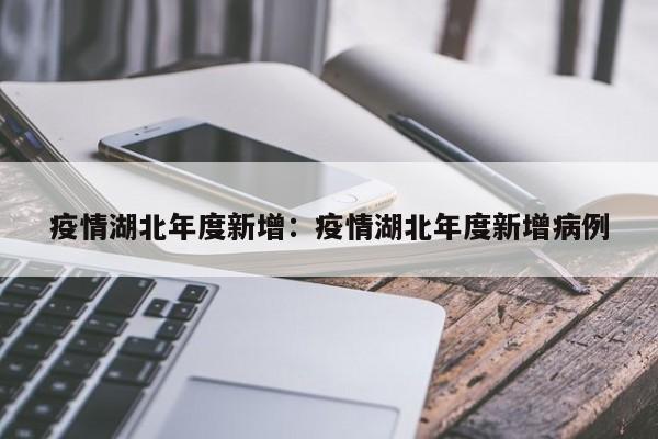 疫情湖北年度新增：疫情湖北年度新增病例