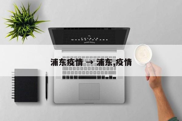 浦东疫情 → 浦东,疫情