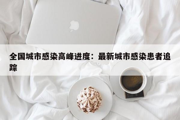 全国城市感染高峰进度：最新城市感染患者追踪
