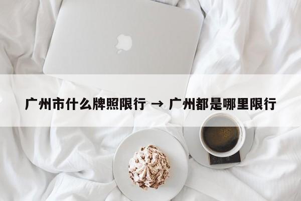 广州市什么牌照限行 → 广州都是哪里限行