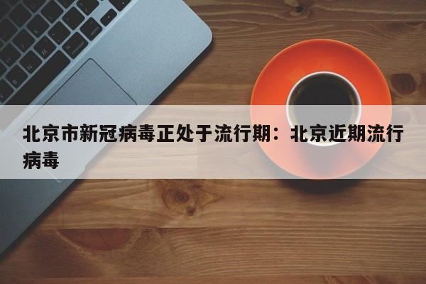 北京市新冠病毒正处于流行期：北京近期流行病毒
